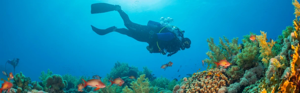 Scuba Diving Experience near Gorai Beach