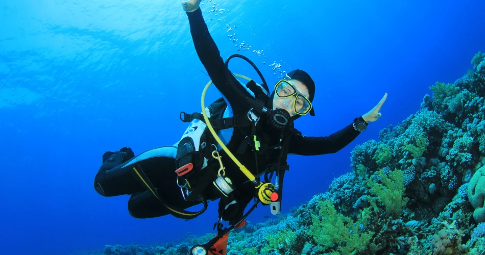 Scuba Diving Experience near Gorai Beach