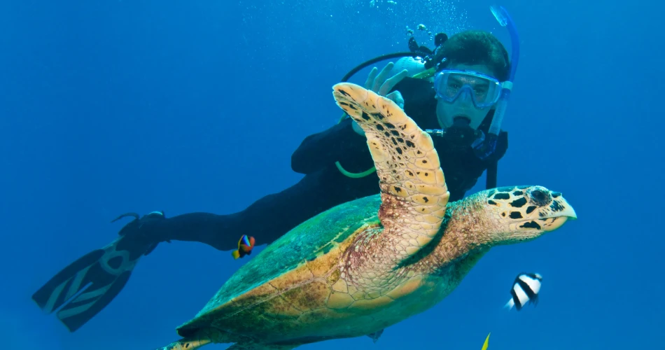 Scuba Diving Experience near Gorai Beach